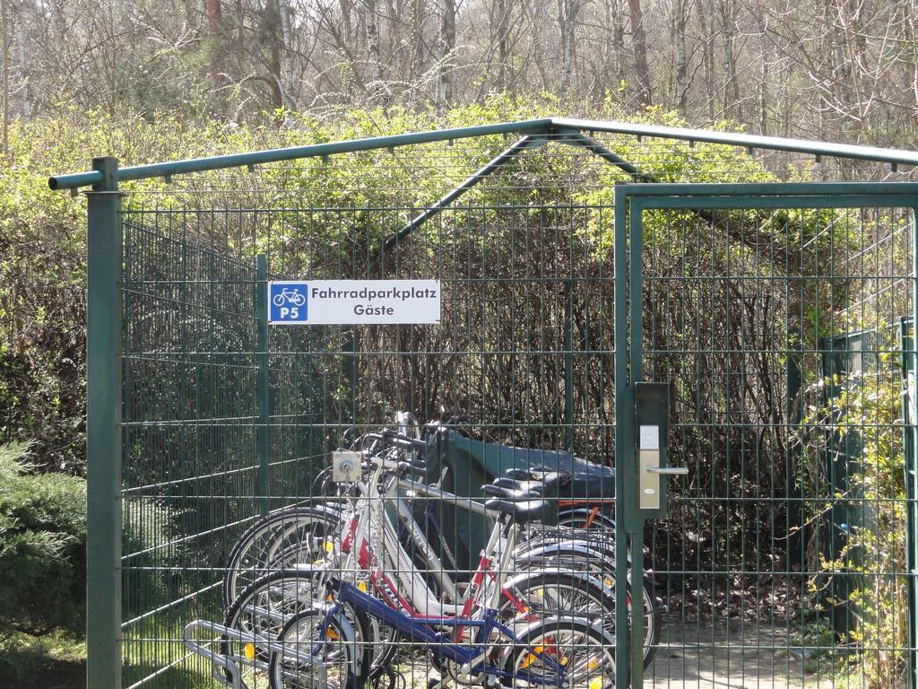 Ferienwohnung Im Duenenpark Binz Cameră foto